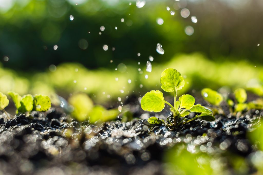 Helping Crop Growth